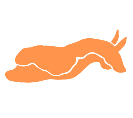 An orange silhouette of a sea slug